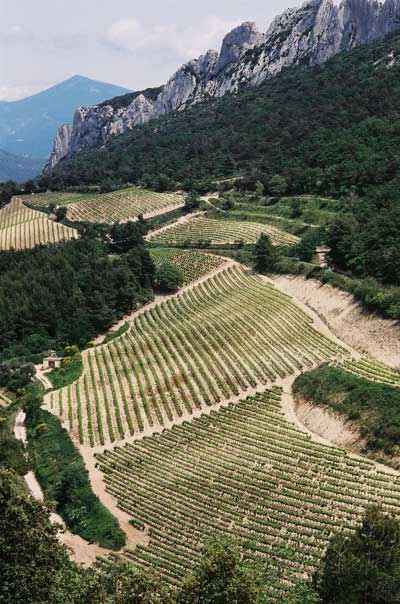 gigondas-vini