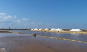 itinerario enogastronomico trapani