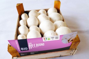 funghi-bio-sana-2014