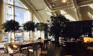 Spazio Roma