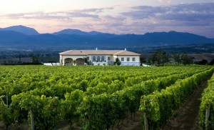 Cantina-Lungarotti