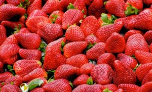 fragole