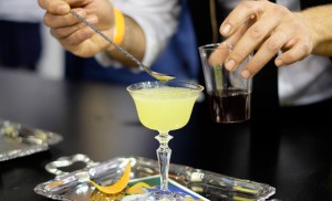presentazione cocktail safari