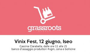 vinix fest