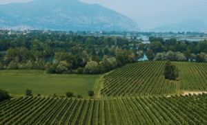 autunno in Franciacorta