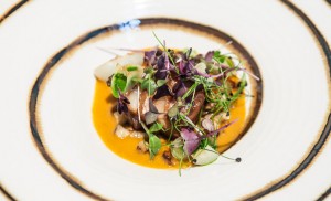 Taste of Excellence 2016
