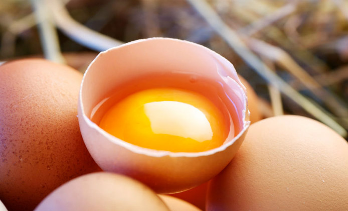 uova di gallina