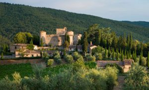 Castello di Meleto vendemmia