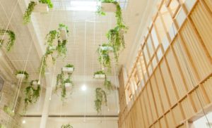 apre Bio's Kitchen Bologna