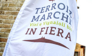 Terroir Marche Festival