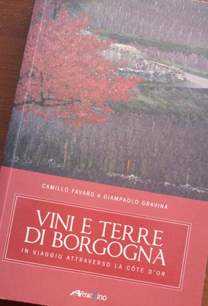 vini-e-terre-di-borgogna