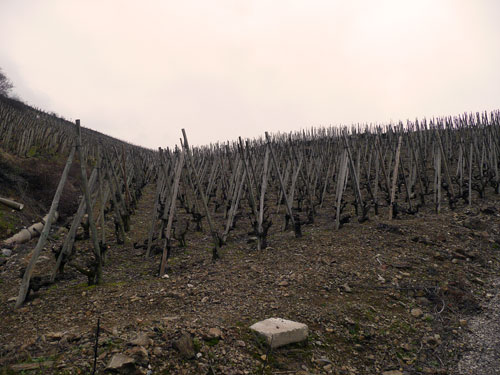 Côte-Rôtie