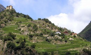 castel-juval
