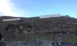 Côte-Rôtie