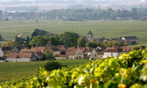 domaine-pierre-amiot-et-fils