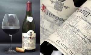 domaine-claude-dugat