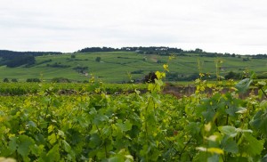 Domaine-de-Courcel