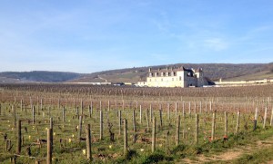 viaggio in borgogna