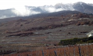 vini-svizzeri-vallese-2