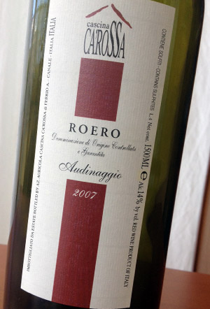 audinaggio2007