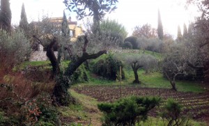 orto-x-quattro