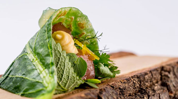 metamorfosi foglia di grano