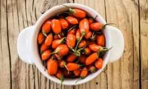 Bacche di goji