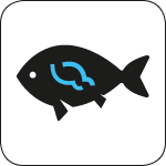 Cucina di pesce